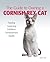 Guide to Owning a Cornish Rex Cat