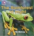 The Rainforest at Night