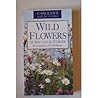 Wild Flowers of B...