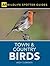 Town & Country Birds by Andy Clements