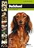Daschund (Dog Breed Expert Series)