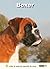 Boxer (Dog Breed Expert Series)