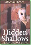 Hidden Shallows: Confessions of a Wildlife Photographer
