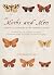 Of Moths and Men: Intrigue, Tragedy and the Peppered Moth