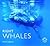 Right Whales by Phil Clapham