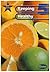 New Star Science 5: Keeping Healthy: Pupil's Book (New Star Science)