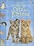 Little Book of Cats and Kittens
