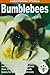 Bumblebees by Christopher O'Toole
