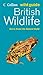 British Wildlife (Wild Guide Series)