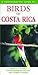 Birds of Costa Rica