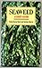 Seaweed