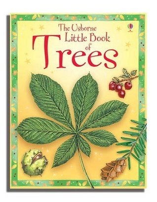 Little Book of Trees (Hardcover)