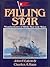 Falling Star: Misadventures...