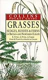 Collins guide to the grasses, sedges, rushes, and ferns of Britain and Northern Europe Collins guide to the grasses, sedges, rushes, and ferns of Britain and Northern Europe