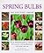 Spring Bulbs by Peter McHoy