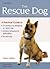 The Rescue Dog