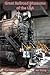 Great Railroad Museums of t...