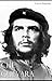 Che Guevara: And the Revolu...