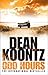 Odd Hours (Odd Thomas, #4)
