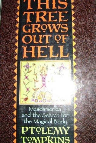 This Tree Grows Out of Hell: Mesoamerica and the Search for the Magical Body (Hardcover)