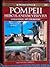 Pompeii, Herculaneum, Vesuvius: Civilization, Art and History