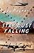 Star Dust Falling: The Story of the Plane That Vanished