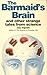 The Barmaid's Brain and Other Strange Tales from Science by Jay Ingram