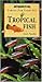 Tropical Fish