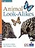 Four Corners:Animal Look-Alikes