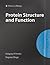 Protein Structure and Function (Primers in Biology)