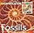 Fossils