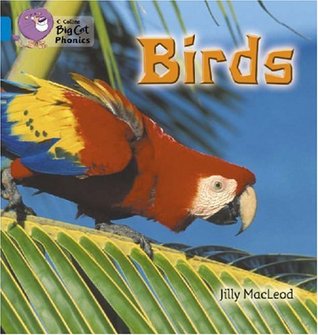 Birds: Blue/Band 04: Blue/Band 4 (Collins Big Cat Phonics)