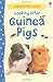 Looking After Guinea Pigs