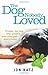 DOG NOBODY LOVED, THE