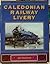 Caledonian Railway Livery by Jim MacIntosh