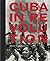 Cuba In Revolution