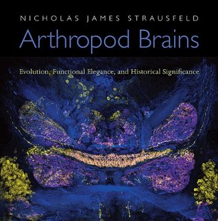Arthropod Brains: Evolution, Functional Elegance, and Historical Significance (Hardcover)