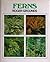 Ferns