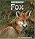 Fox (Wild Britain)