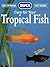 Care for Your Tropical Fish (Official RSPCA Pet Guides)
