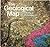 The Geological Map