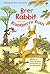 Brer Rabbit and the Blackberry Bush (Usborne First Reading Level 2)