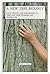 A New Tree Biology: Facts, ...