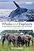 Whales and Elephants in International Conservation Law and Politics: A Comparative Study (Routledge Research in International Environmental Law)