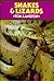 Snakes & Lizards