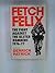 Fetch Felix: The Fight against the Ulster Bombers, 1976-1977