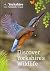 Discover Yorkshire's Wildlife: Your Guide to Yorkshire Wildlife Trust's Nature Reserves