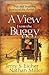 A View from the Buggy: True and Inspiring Stories of the Amish Life