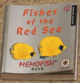 Fishes of the Red Sea
