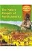 The Native Peoples of North America (Hodder History)